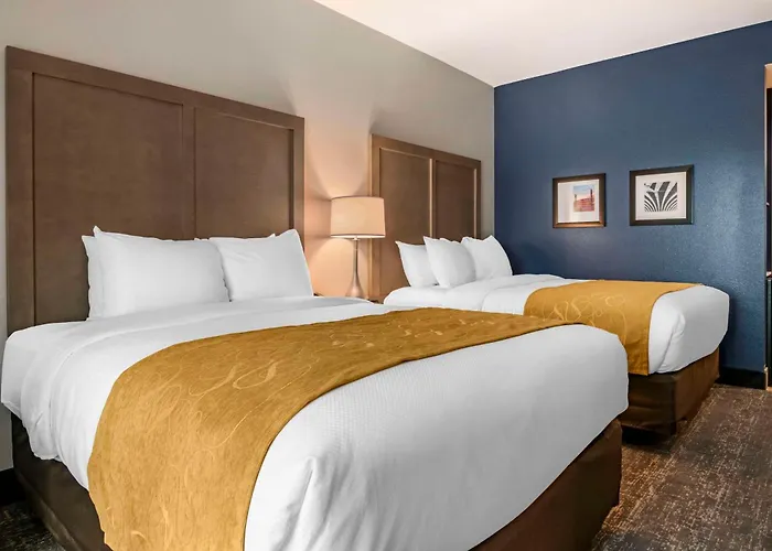 Comfort Inn & Suites Jacksonville - Orange Park Near Naval Air Station